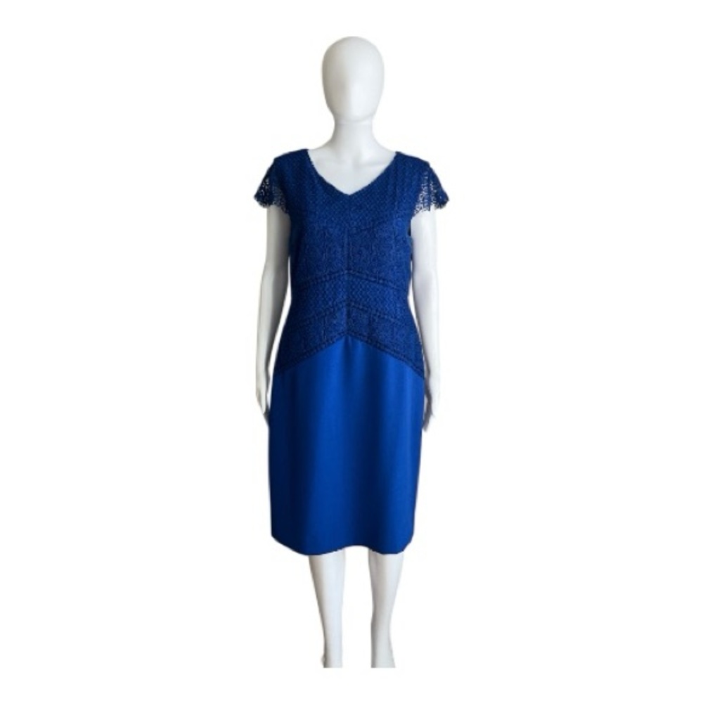 Antonio Melani Elegant Royal Blue Lace Dress Size 10